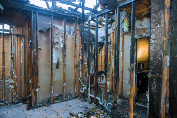 Professional Smoke Damage Removal technician working in Bluemont, VA