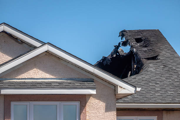 Top rated local Smoke Damage Removal specialists in Bluemont, VA